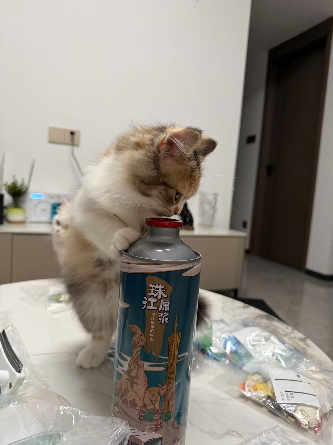 立夏前爪搭着啤酒容器，低头凑近瓶口